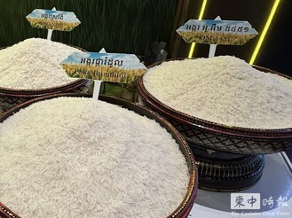 今年前4月柬埔寨向中國出口米成長逾八成