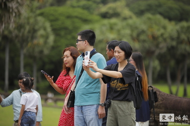 今年前5月柬埔寨接待中國遊客逾39萬人次年降近兩成