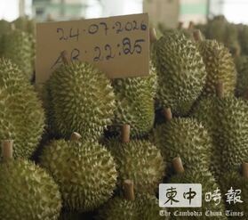 柬埔寨榴槤在中國「火了」 今年前7月出口量激增近40倍