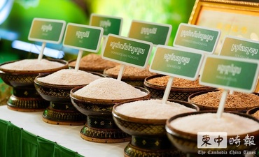 今年上半年柬埔寨向中國出口米成長超六成